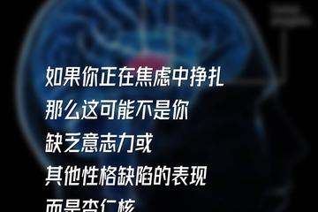 2025年情绪管理大师：降低焦虑，早学早受益