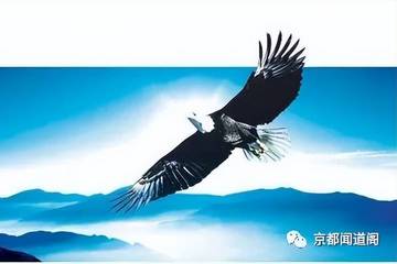 2025年个人成长九字真谛：感“悟”的力量