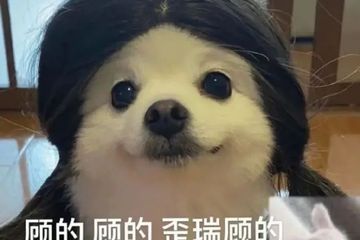 2025年纯天然白头发：新时尚单品？